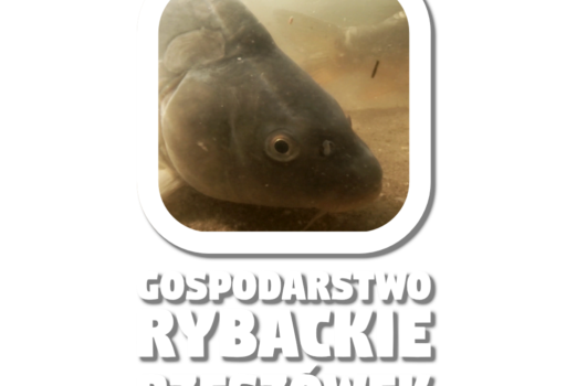 Zapraszamy