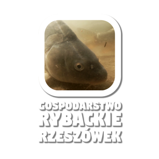 Zapraszamy